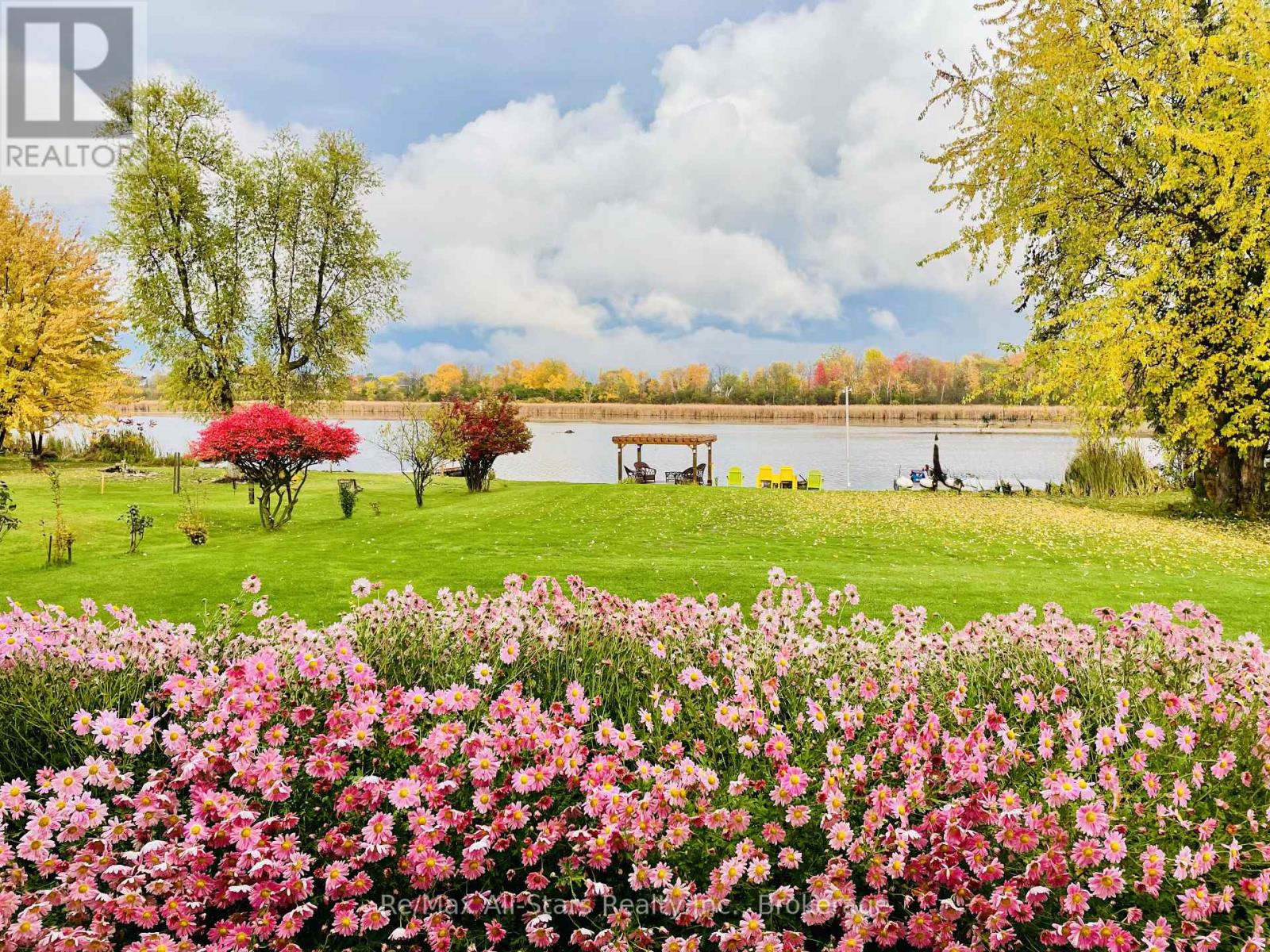 SUMMER PERENNIALS