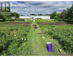 2466 Highway 24 Expressway, Norfolk, ON N0E1Y0 Photo 15