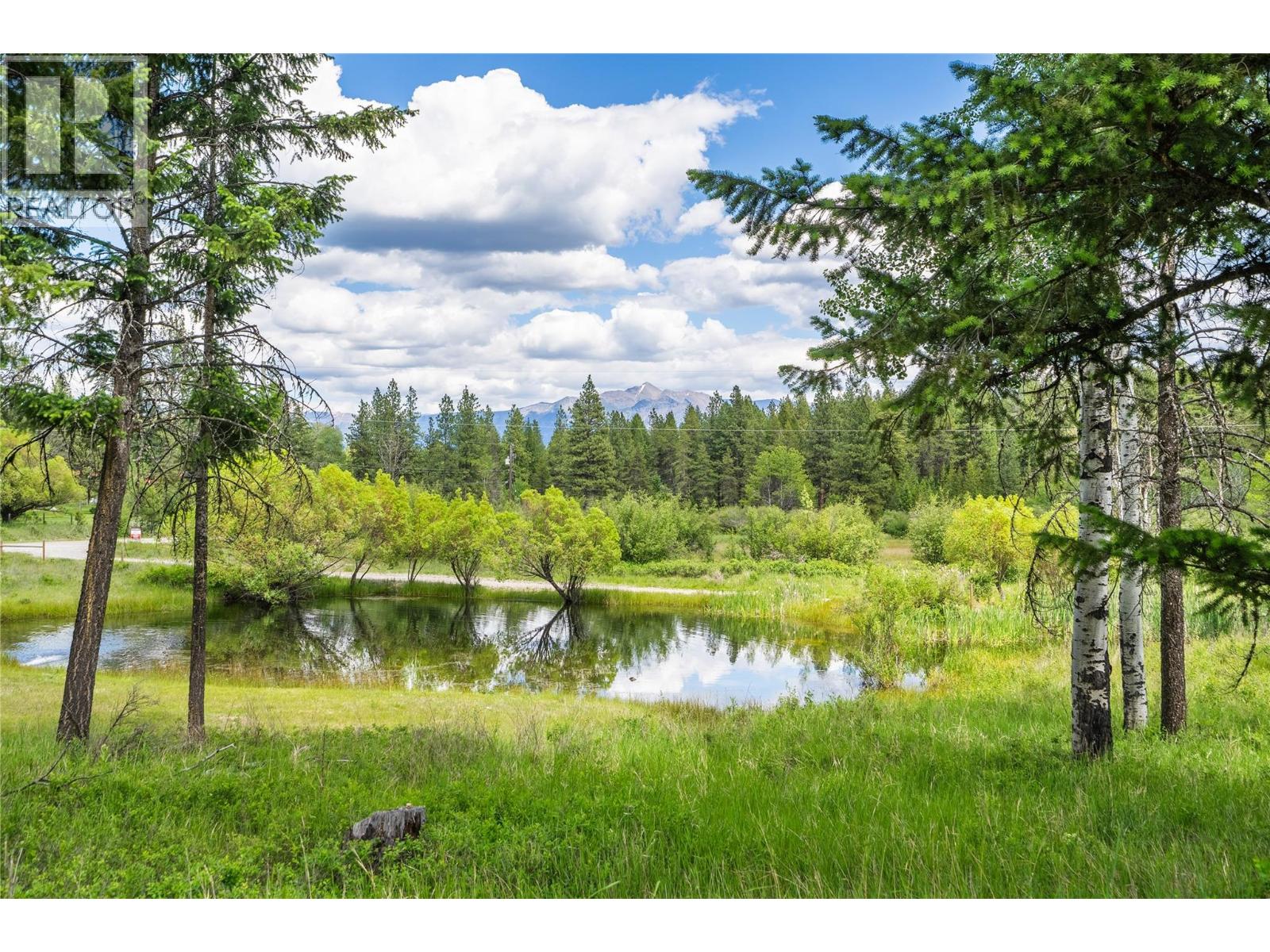 3320 Pine Ridge Road - 41