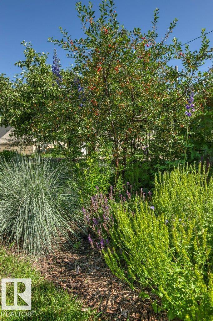 10235 74 ST NW - 64