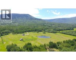 610 Cowie Creek Road, Chetwynd, BC V0C1J0 Photo 18