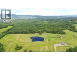 610 Cowie Creek Road, Chetwynd, BC V0C1J0 Photo 19