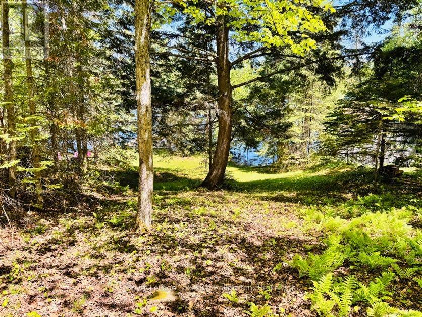 10573 LOON LAKE WAO - 24