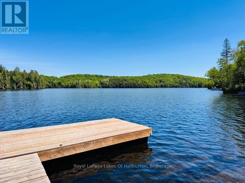 10573 LOON LAKE WAO - 41
