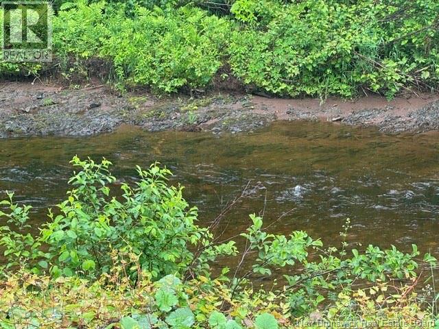 514 Howard Brook Road - 6