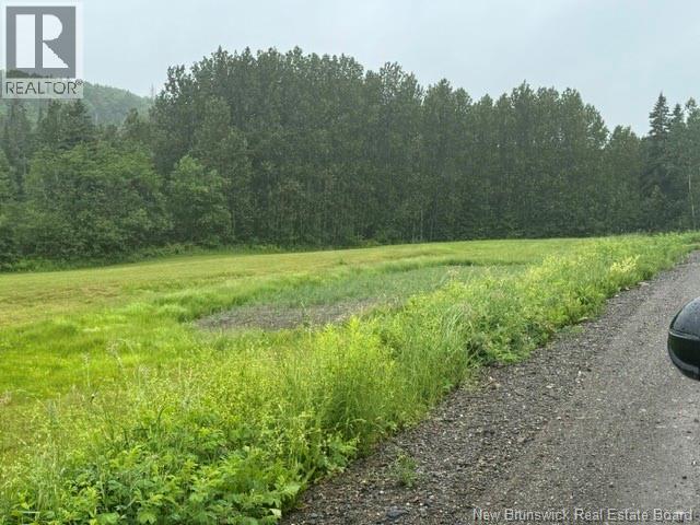 514 Howard Brook Road - 9