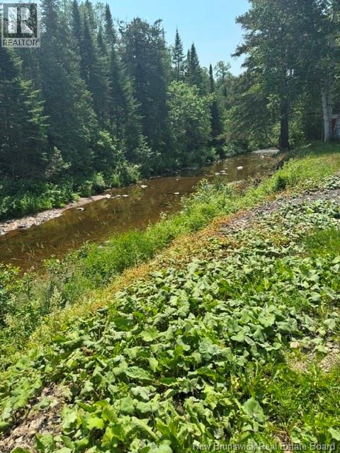 514 Howard Brook Road - 22