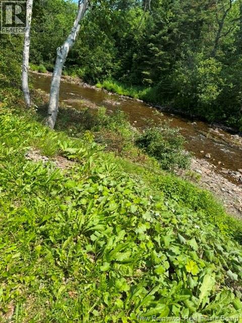 514 Howard Brook Road - 23