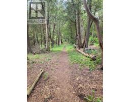 Family room - 133 Riverwalk Place, Guelph/eramosa, ON N0B2K0 Photo 6
