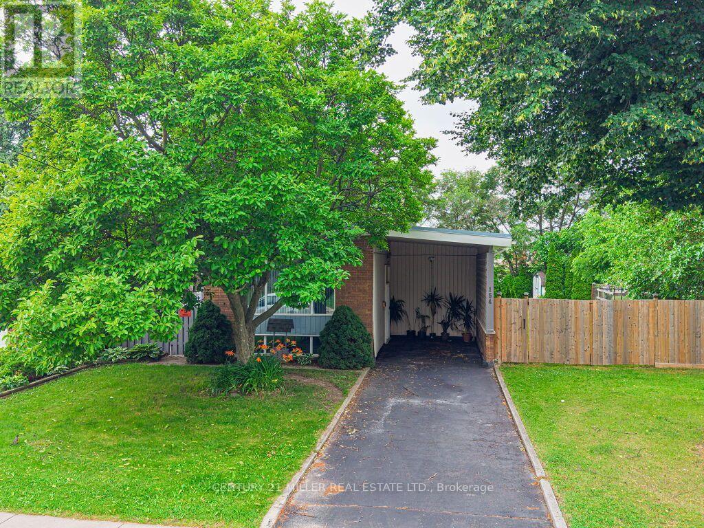 154 LUSCOMBE STREET - 3