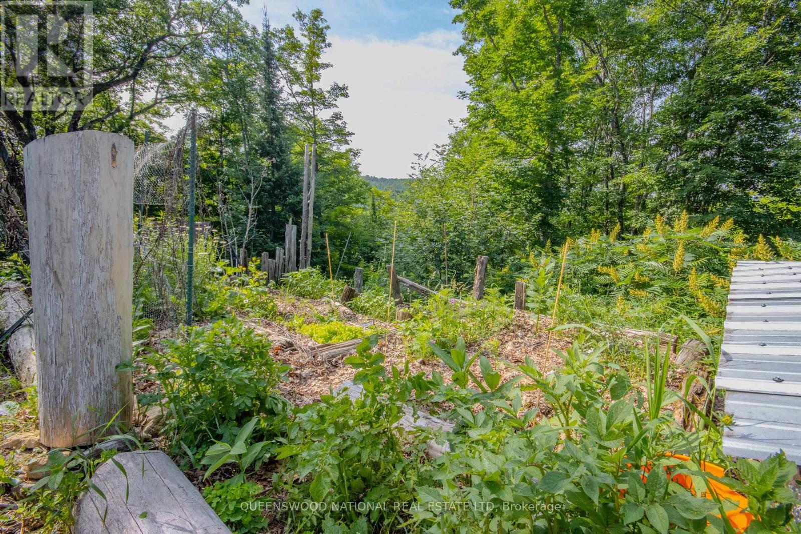 205 ROCKINGHAM ROAD - 46