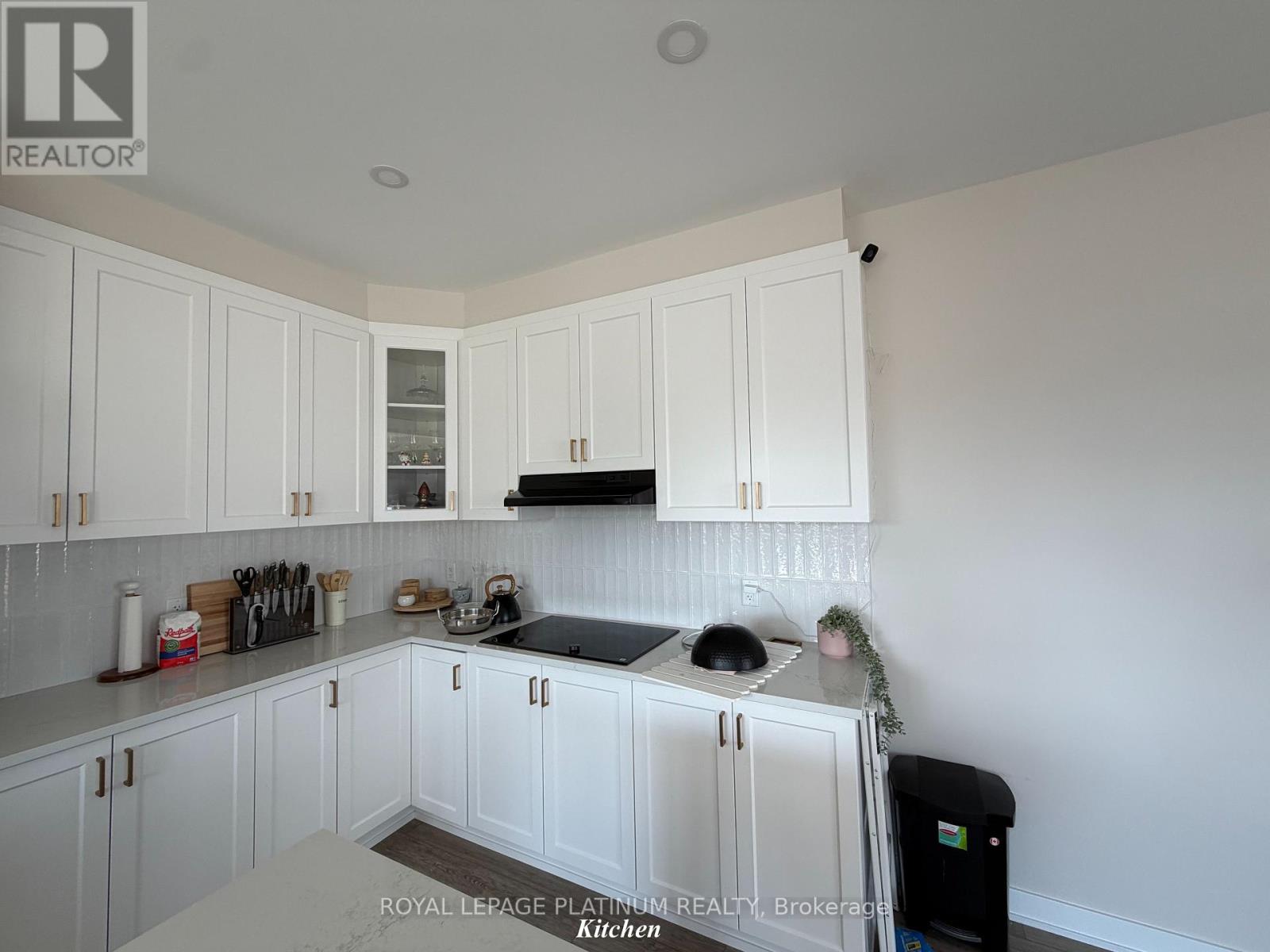 6384 OTTAWA STREET W, Ottawa. Luxury613. By Peter Sagos - Image 10