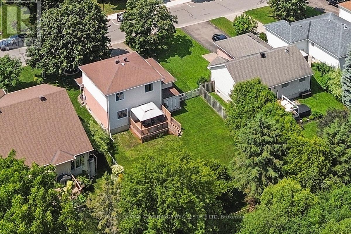 14 TREELAWN BOULEVARD - 36