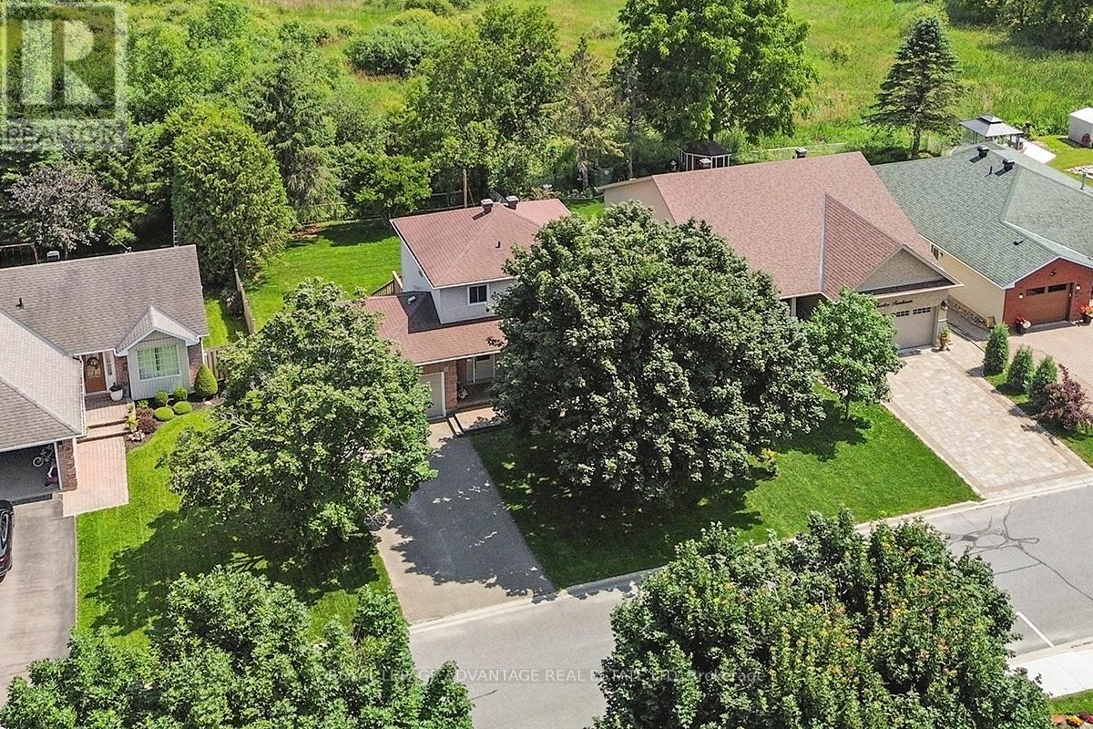 14 TREELAWN BOULEVARD - 38