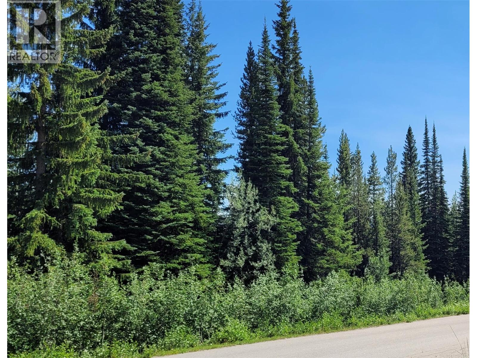 Lot in summer
