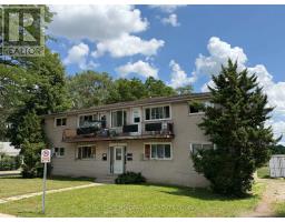 94 Sixth Avenue, Brantford, ON N3S1B2 Photo 41