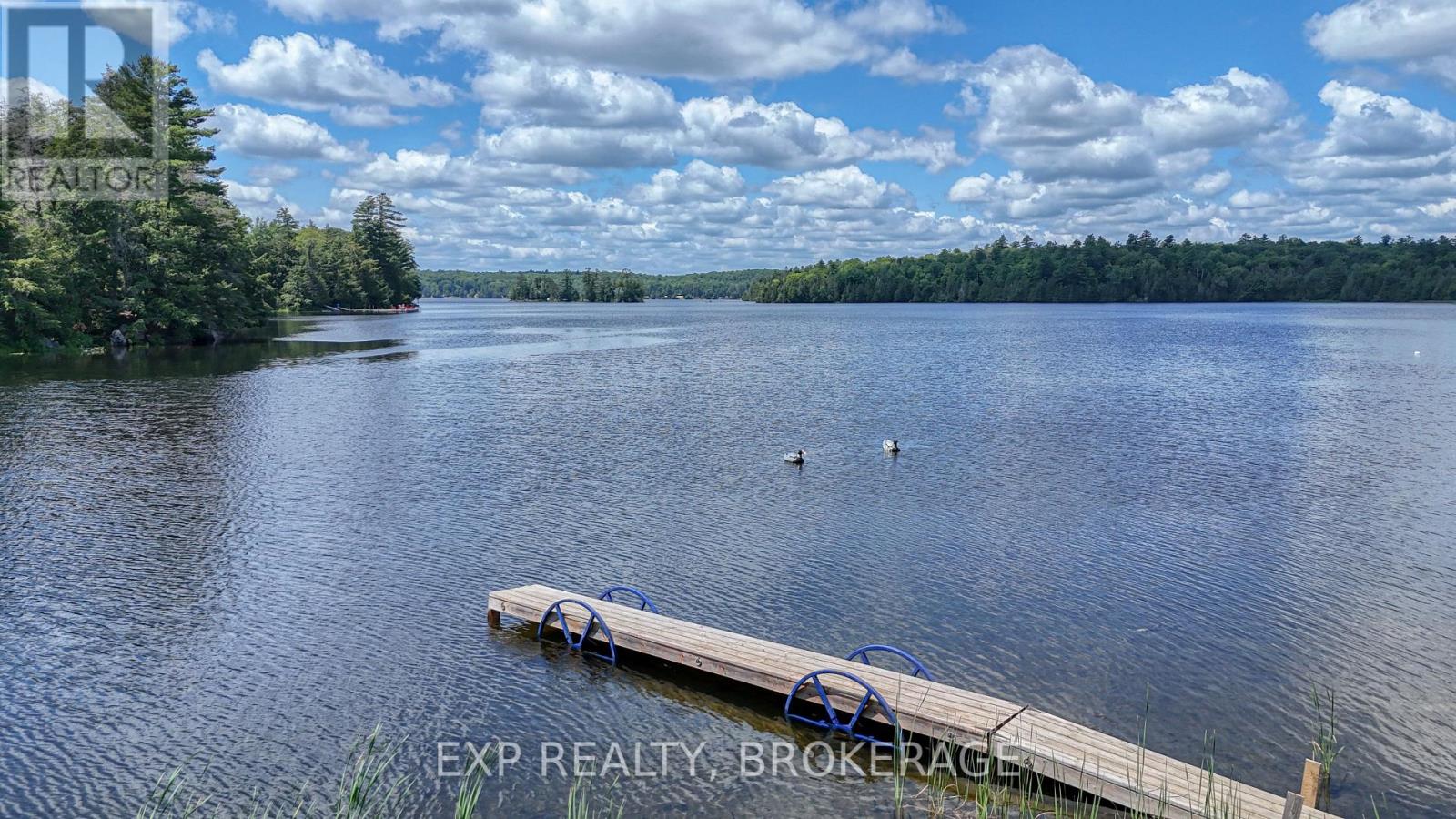1058 PERRY ROAD - 47