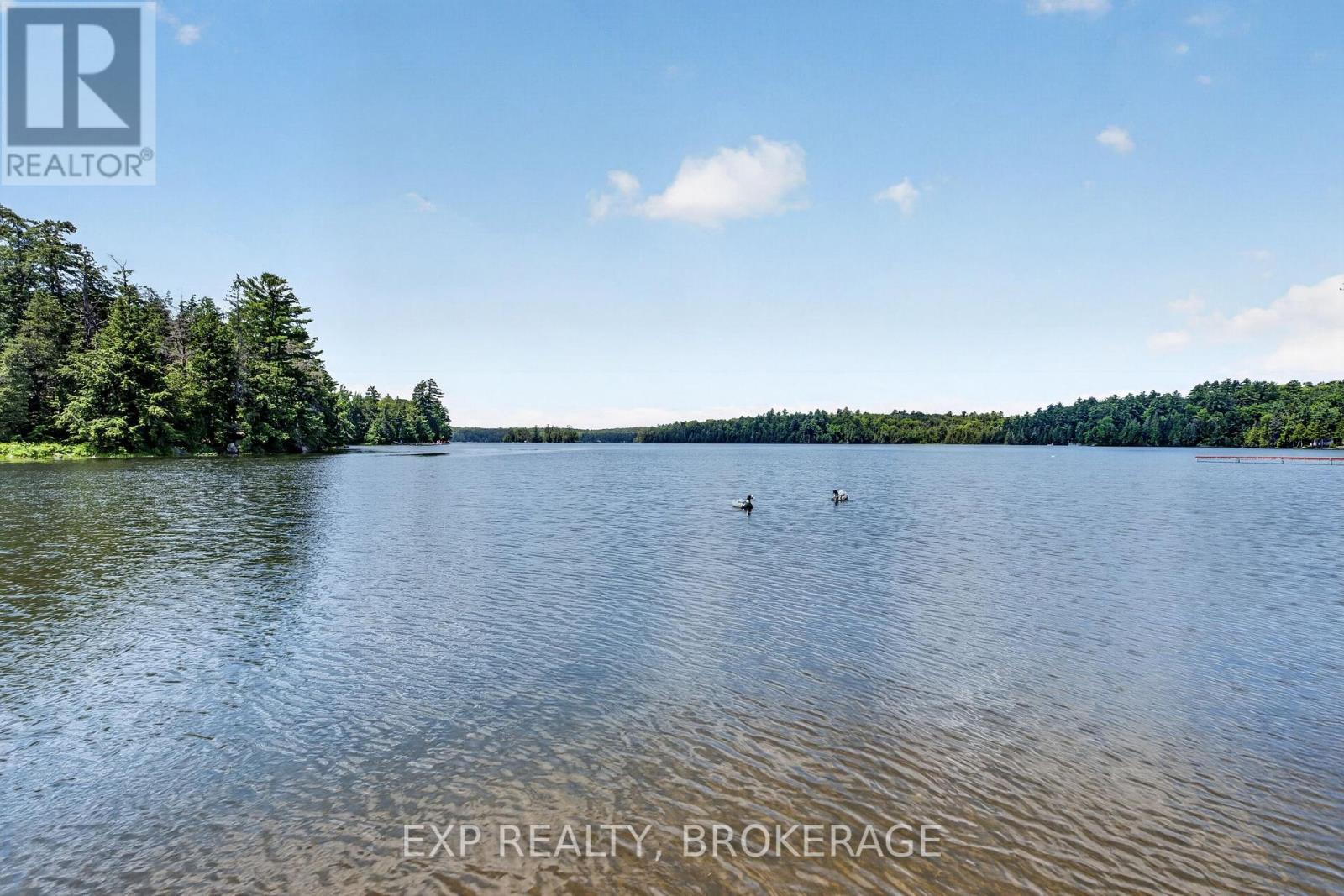1058 PERRY ROAD - 42