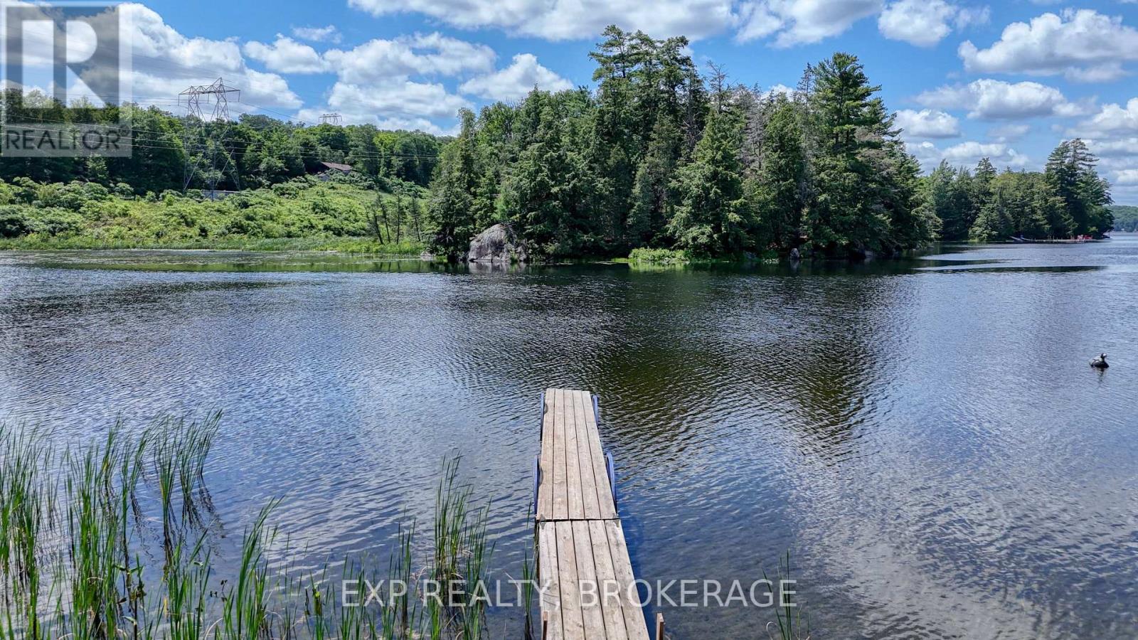 1058 PERRY ROAD - 46