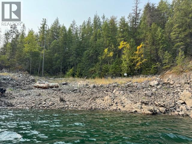  Lower Arrow Lake Other, Castlegar