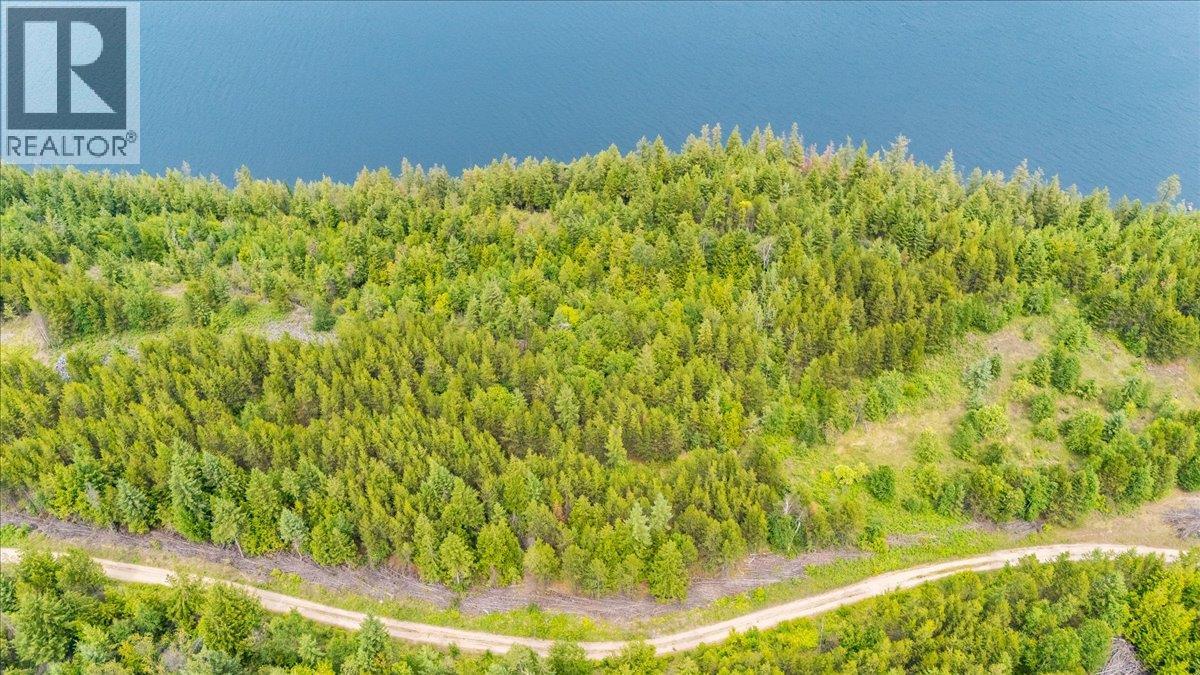  Lower Arrow Lake Other, Castlegar