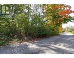 126 Brambel Road, Oro Medonte, ON L0L2L0 Photo 38