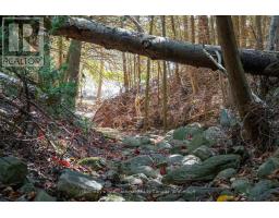 126 Brambel Road, Oro Medonte, ON L0L2L0 Photo 39