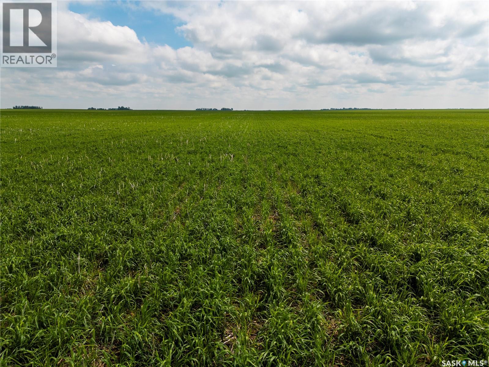 12,511 Acres of Farmland & Yard Sites Near Regina — photo 23