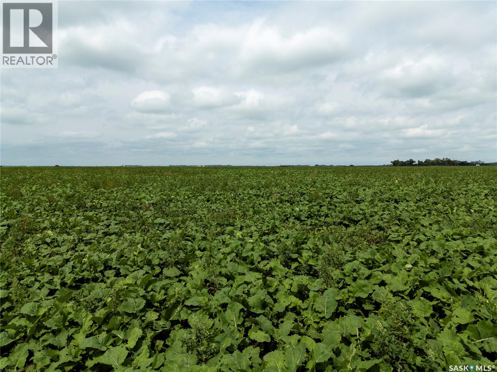 12,511 Acres of Farmland & Yard Sites Near Regina — photo 45