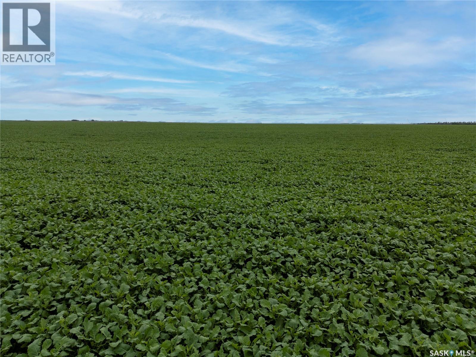 12,511 Acres of Farmland & Yard Sites Near Regina — photo 29