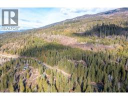 1665 Enderby Mabel Lake Road, Enderby, BC V0E1V5 Photo 45