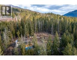 1665 Enderby Mabel Lake Road, Enderby, BC V0E1V5 Photo 53