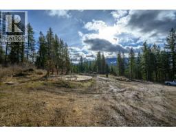 1665 Enderby Mabel Lake Road, Enderby, BC V0E1V5 Photo 42