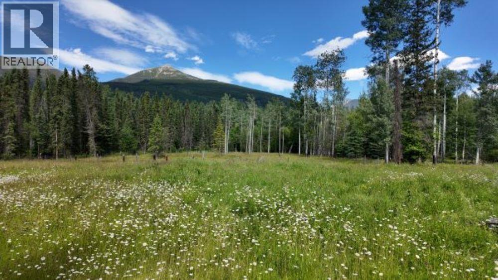 3190 MORRISON ROAD, Valemount