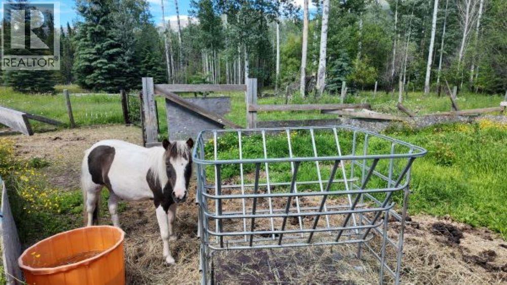 3190 MORRISON ROAD, Valemount
