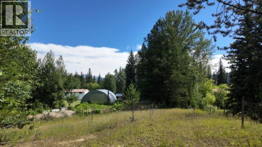 3190 MORRISON ROAD, Valemount