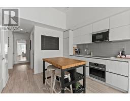 717 - 21 Park Street E, Mississauga, ON L5G1L7 Photo 13