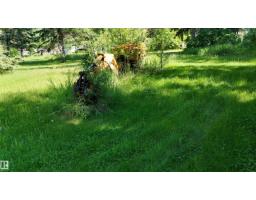 5416 51 Av, Andrew, AB T0B0C0 Photo 46