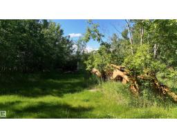 5416 51 Av, Andrew, AB T0B0C0 Photo 37