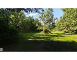 5416 51 Av, Andrew, AB T0B0C0 Photo 36