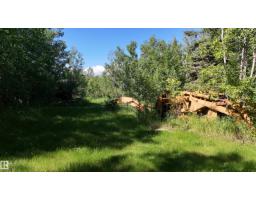 5416 51 Av, Andrew, AB T0B0C0 Photo 39