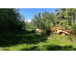 5416 51 Av, Andrew, AB T0B0C0 Photo 38
