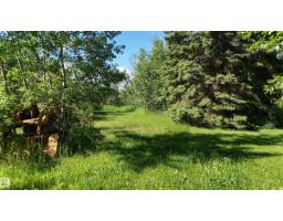 5416 51 Av, Andrew, AB T0B0C0 Photo 40