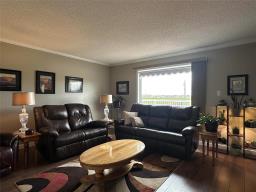 22111 14 Highway, Winkler, MB R6W4A6 Photo 21