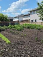 22111 14 Highway, Winkler, MB R6W4A6 Photo 48