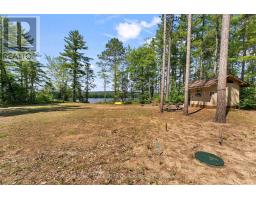 290 Hennessy Trail, Whitewater Region, ON K0J2L0 Photo 15