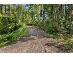 290 Hennessy Trail, Whitewater Region, ON K0J2L0 Photo 18