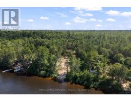 290 Hennessy Trail, Whitewater Region, ON K0J2L0 Photo 20