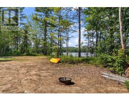 290 Hennessy Trail, Whitewater Region, ON K0J2L0 Photo 16