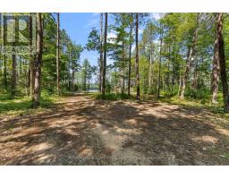 290 Hennessy Trail, Whitewater Region, ON K0J2L0 Photo 17